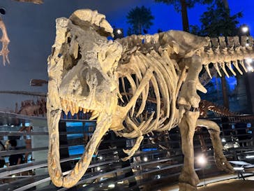 福井県立恐竜博物館に投稿された画像（2023/7/18）