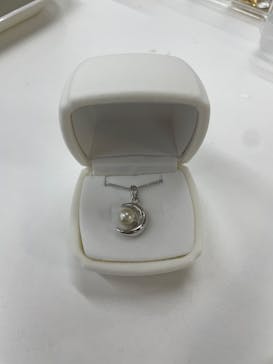 三重県真珠に投稿された画像（2023/7/18）