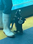 箱根園水族館に投稿された画像（2023/7/19）