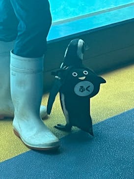 箱根園水族館に投稿された画像（2023/7/18）