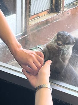 箱根園水族館に投稿された画像（2023/7/18）