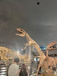 福井県立恐竜博物館に投稿された画像（2023/7/19）