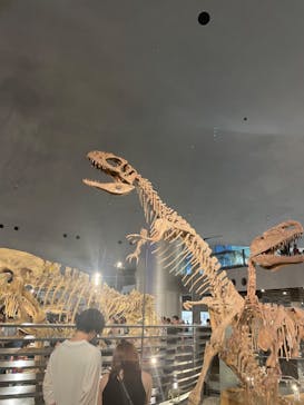 福井県立恐竜博物館に投稿された画像（2023/7/19）