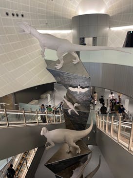 福井県立恐竜博物館に投稿された画像（2023/7/19）