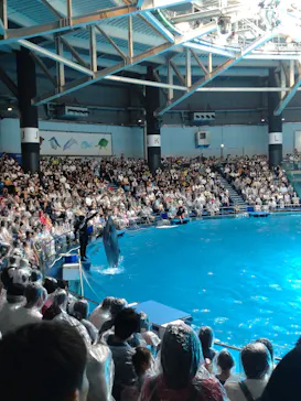 マクセル アクアパーク品川に投稿された画像（2023/7/19）