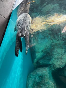 アクアワールド茨城県大洗水族館に投稿された画像（2023/7/19）