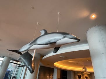 アクアワールド茨城県大洗水族館に投稿された画像（2023/7/19）