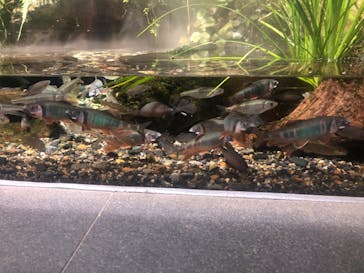 京都水族館に投稿された画像（2023/7/19）