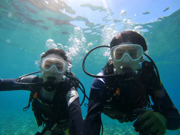 武藤潜水に投稿された画像（2023/7/19）