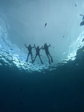 武藤潜水に投稿された画像（2023/7/19）