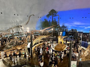 福井県立恐竜博物館に投稿された画像（2023/7/19）