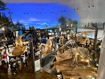 福井県立恐竜博物館に投稿された画像（2023/7/19）