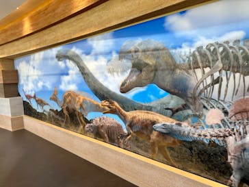 福井県立恐竜博物館に投稿された画像（2023/7/19）