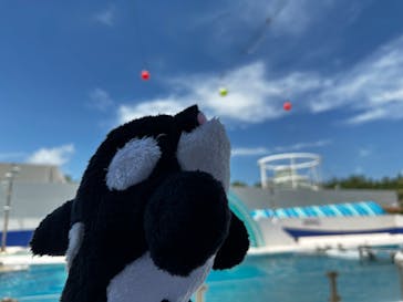 鴨川シーワールドに投稿された画像（2023/7/19）