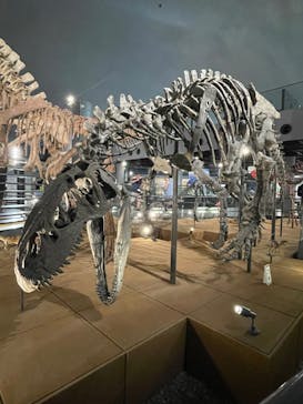 福井県立恐竜博物館に投稿された画像（2023/7/19）