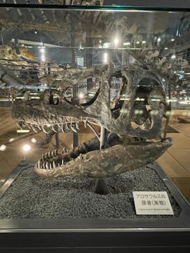 福井県立恐竜博物館に投稿された画像（2023/7/19）