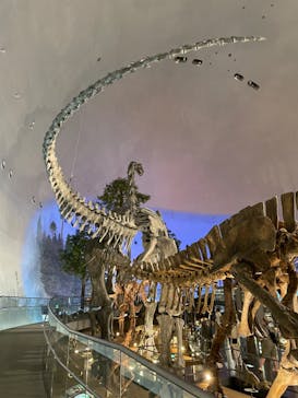 福井県立恐竜博物館に投稿された画像（2023/7/19）