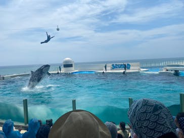 鴨川シーワールドに投稿された画像（2023/7/19）