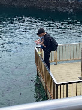 伊豆・三津シーパラダイスに投稿された画像（2023/7/19）