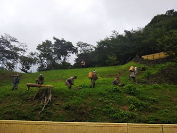 土肥金山に投稿された画像（2023/7/19）