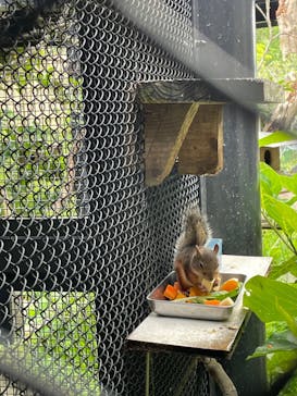 沖縄こどもの国に投稿された画像（2023/7/19）