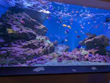 仙台うみの杜水族館に投稿された画像（2023/7/19）