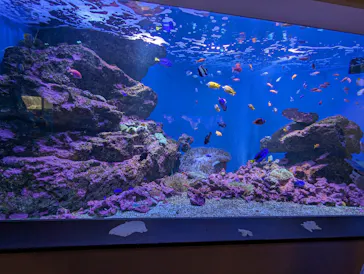 仙台うみの杜水族館に投稿された画像（2023/7/19）