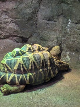 サンシャイン水族館に投稿された画像（2023/7/19）