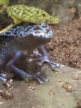 サンシャイン水族館に投稿された画像（2023/7/19）