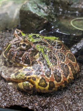 サンシャイン水族館に投稿された画像（2023/7/19）
