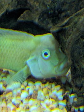 サンシャイン水族館に投稿された画像（2023/7/19）