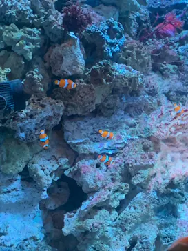 マクセル アクアパーク品川に投稿された画像（2023/7/19）