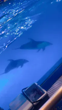 マクセル アクアパーク品川に投稿された画像（2023/7/19）