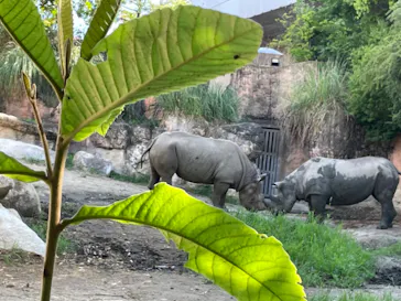 天王寺動物園に投稿された画像（2023/7/19）