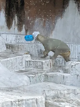 天王寺動物園に投稿された画像（2023/7/19）