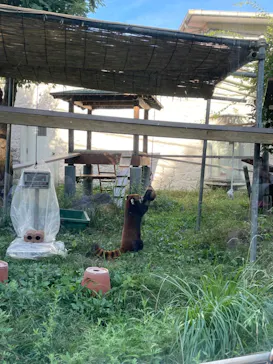 天王寺動物園に投稿された画像（2023/7/19）