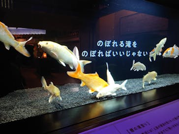 横浜開運水族館 フォーチュンアクアリウムに投稿された画像（2023/7/19）