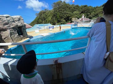 下田海中水族館に投稿された画像（2023/7/19）