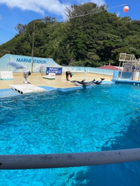 下田海中水族館に投稿された画像（2023/7/19）