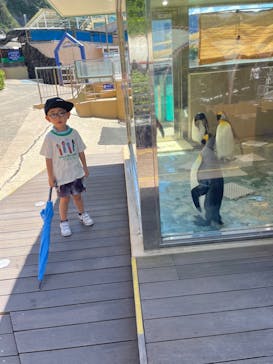 下田海中水族館に投稿された画像（2023/7/19）