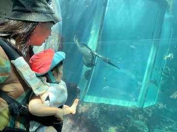 下田海中水族館に投稿された画像（2023/7/19）