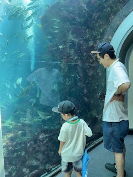 下田海中水族館に投稿された画像（2023/7/19）