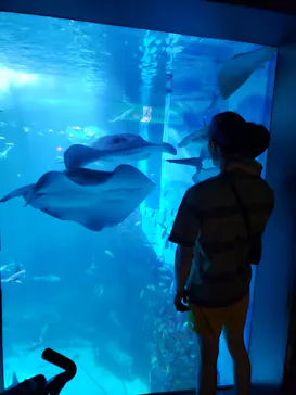 横浜・八景島シーパラダイスに投稿された画像（2023/7/19）