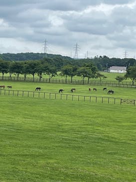 ノーザンホースパークに投稿された画像（2023/7/19）