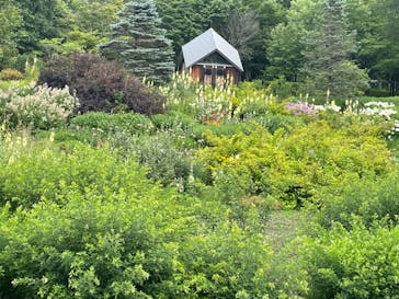 ノーザンホースパークに投稿された画像（2023/7/19）