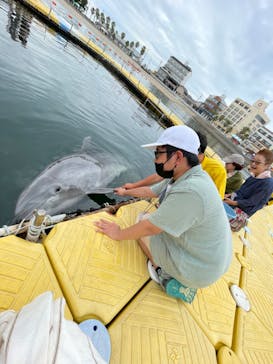 日間賀島ドルフィンビーチに投稿された画像（2023/7/20）