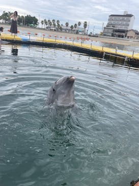 日間賀島ドルフィンビーチに投稿された画像（2023/7/20）