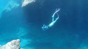 ソルトウォーターソーシャルクラブに投稿された画像（2023/7/20）