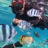 MalDive（モルダイブ）に投稿された画像（2023/7/20）