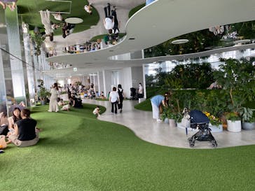 サンシャイン60展望台に投稿された画像（2023/7/20）